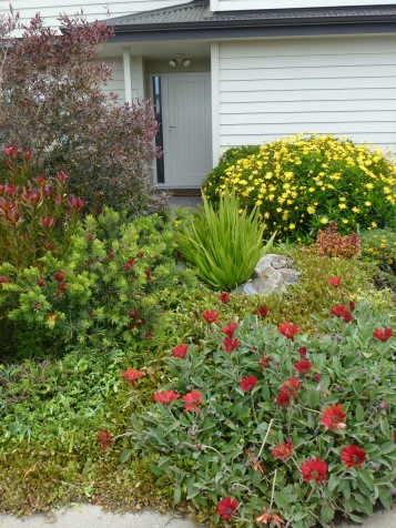 A bold colour scheme of reds, yellows, and orange gives this planting real impact. 