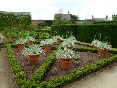 Pots at Alnwick Garden
